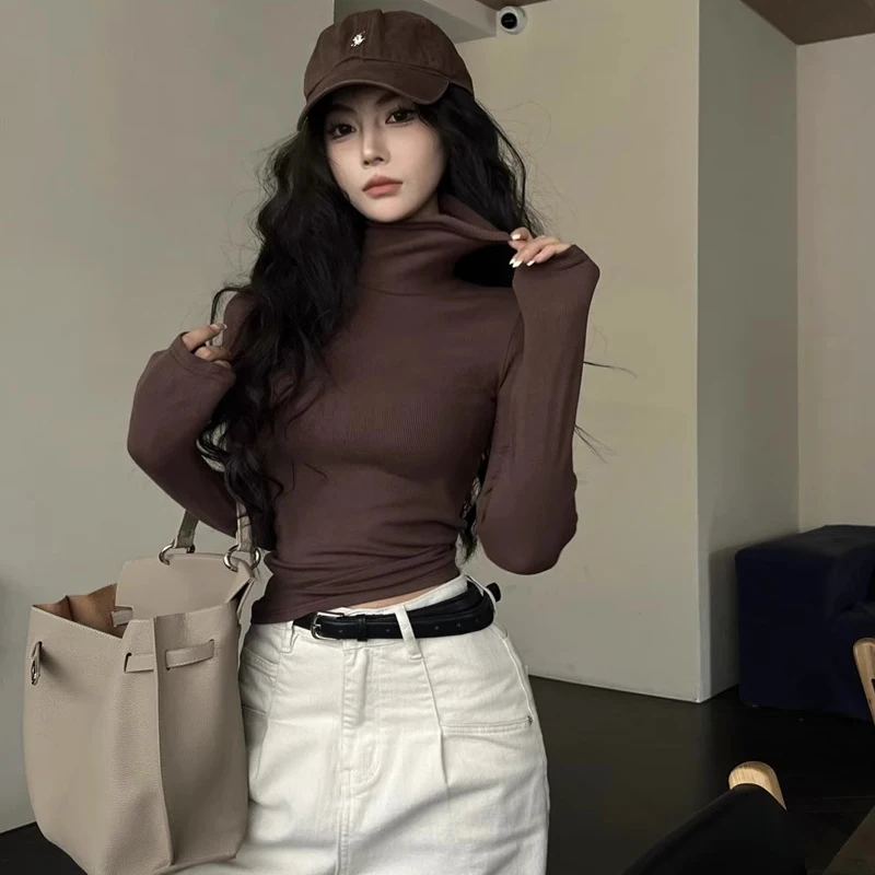 Winter Women Classic Basic Turtleneck Tops Lady Comfortable Thermal Long Sleeve Clothes Female Retro Versatile Elastic Pullover