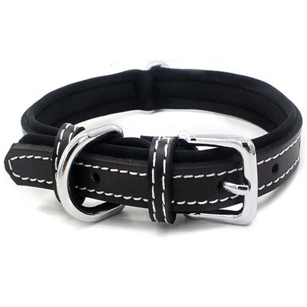 Collar para perro de neopreno acolchado con hebilla de metal_voghion.com