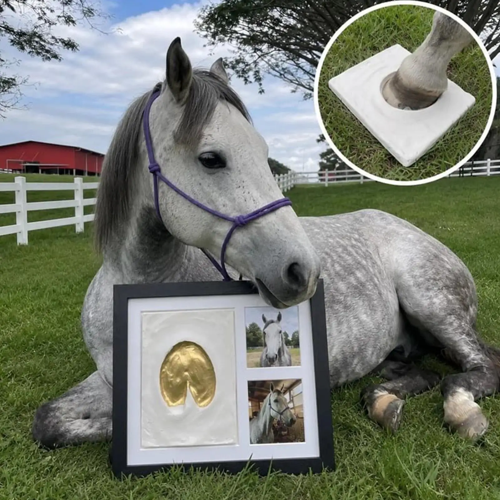 Clay Paw Print Kit For Horse Wood Frame Handmade Hoofprint Decoration Imprint Clay Keepsake Kit For Pet Memorial Animal Growth