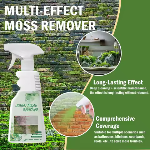 Powerful LICHEN ALGAE REMOVER Cement Floor Moss Cleaner Wall Moss Cleaner for Patio Stone, Deck, Driveway &amp; Sidewalk Cleaning