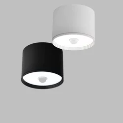 110V 220V LED Downlight PIR Motion Sensor Surface Mounted Ceiling Light for Bedroom Washroom Corridor Garage Hotel Night light