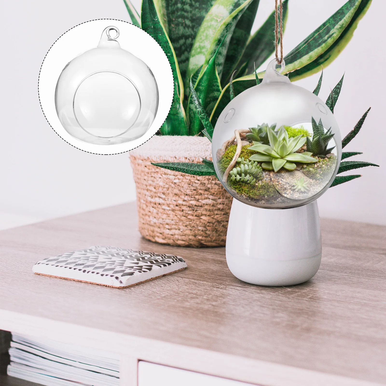 

2Pcs Hanging Glass Globe Terrarium Transparent Durable Air Plant Holder Indoor Outdoor Succulent Display Ornament