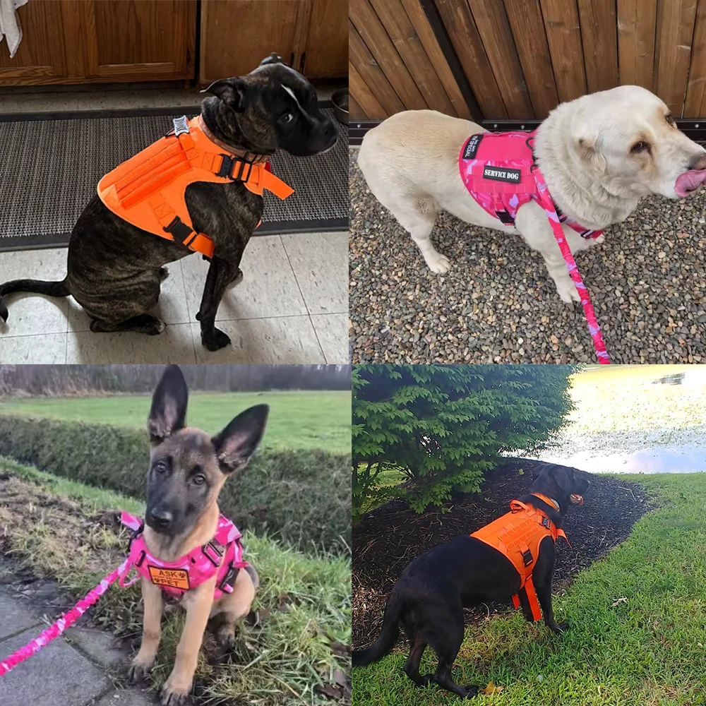 Taktisches Hundegeschirr und Leinenset, verstellbare Militär-Hundeweste ohne Zugfunktion mit Griff für mittelgroße und große Hunde zum Training und Spazierengehen – Detail 13