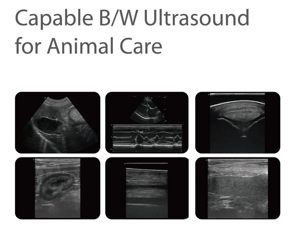 SonoScape E1 veterinary ultrasound medical ultrasound instruments vet black and white ultrasound scanner with rectal probe L741V