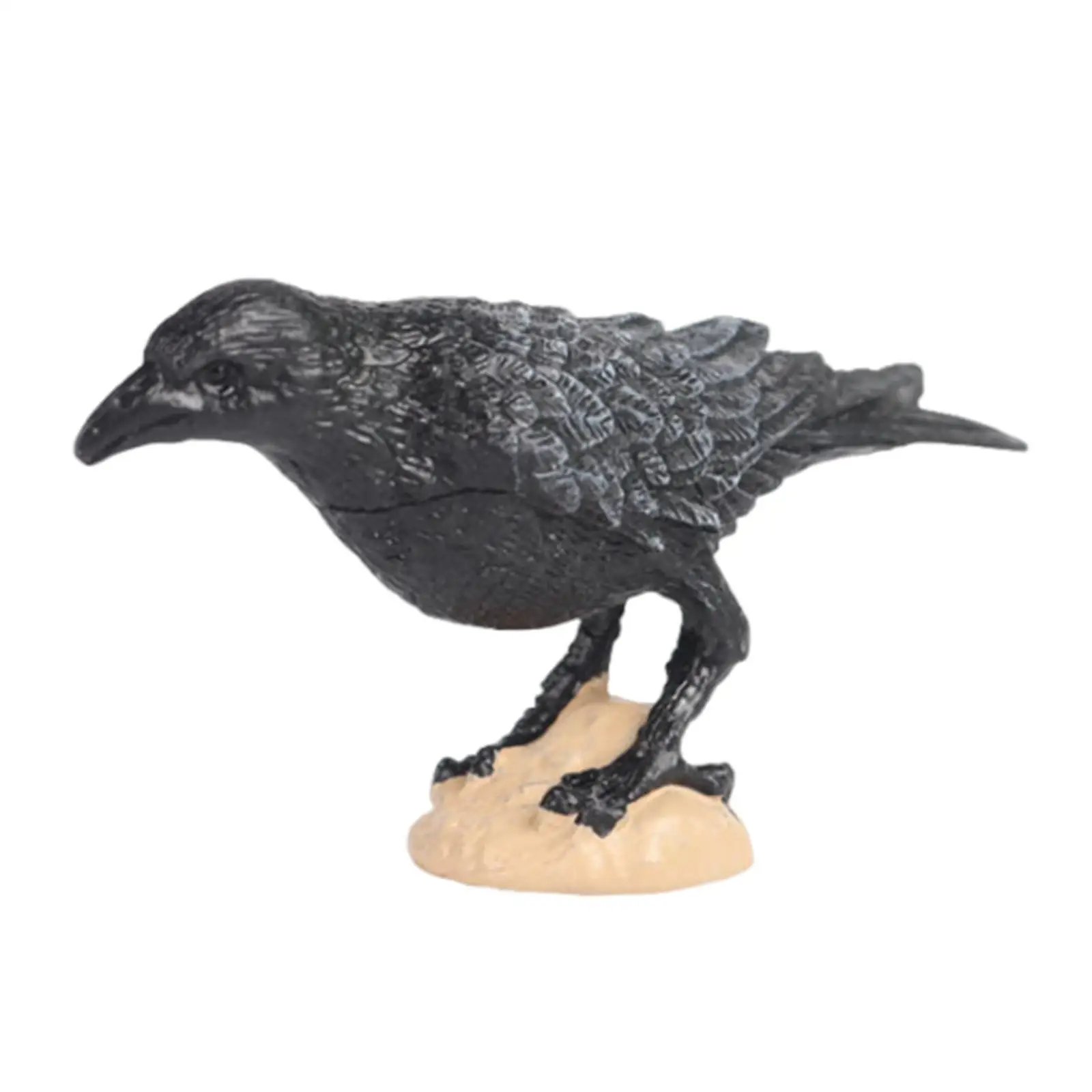 Raven Bird Figurines Bird Animal Sculpture Home Decor Realistic Educational Parrot Figurines Toy Teaching Aids Bath Toys