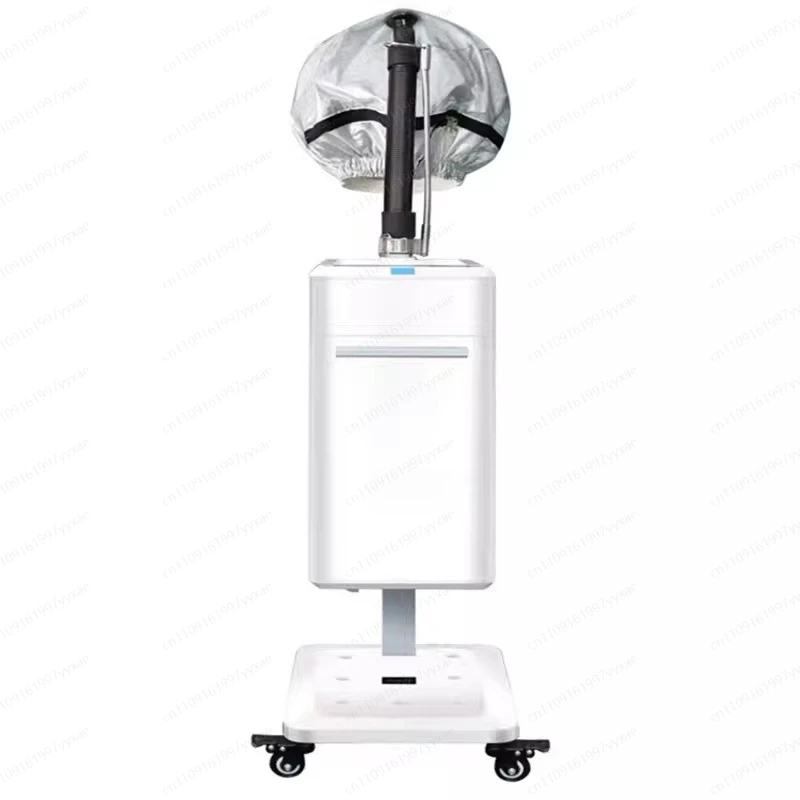 

Nano Atomizing Hair Conditioner – Intelligent Essential Oil Introduction, Hair Nourishing & Repair Machine