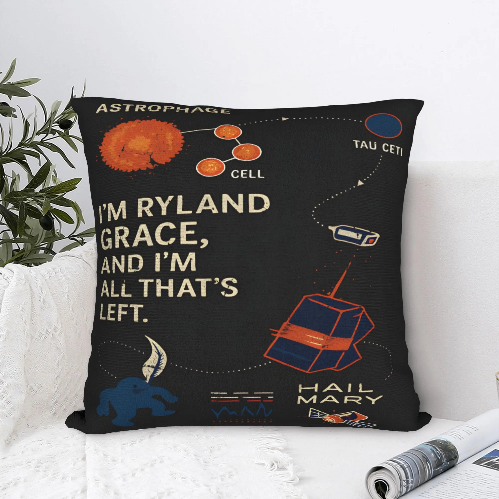 Pillow Cover Project Hail Mary Andy Weir Book Lover  Funny Pillow Case For Chair Sofa Home Decor Pillowcases