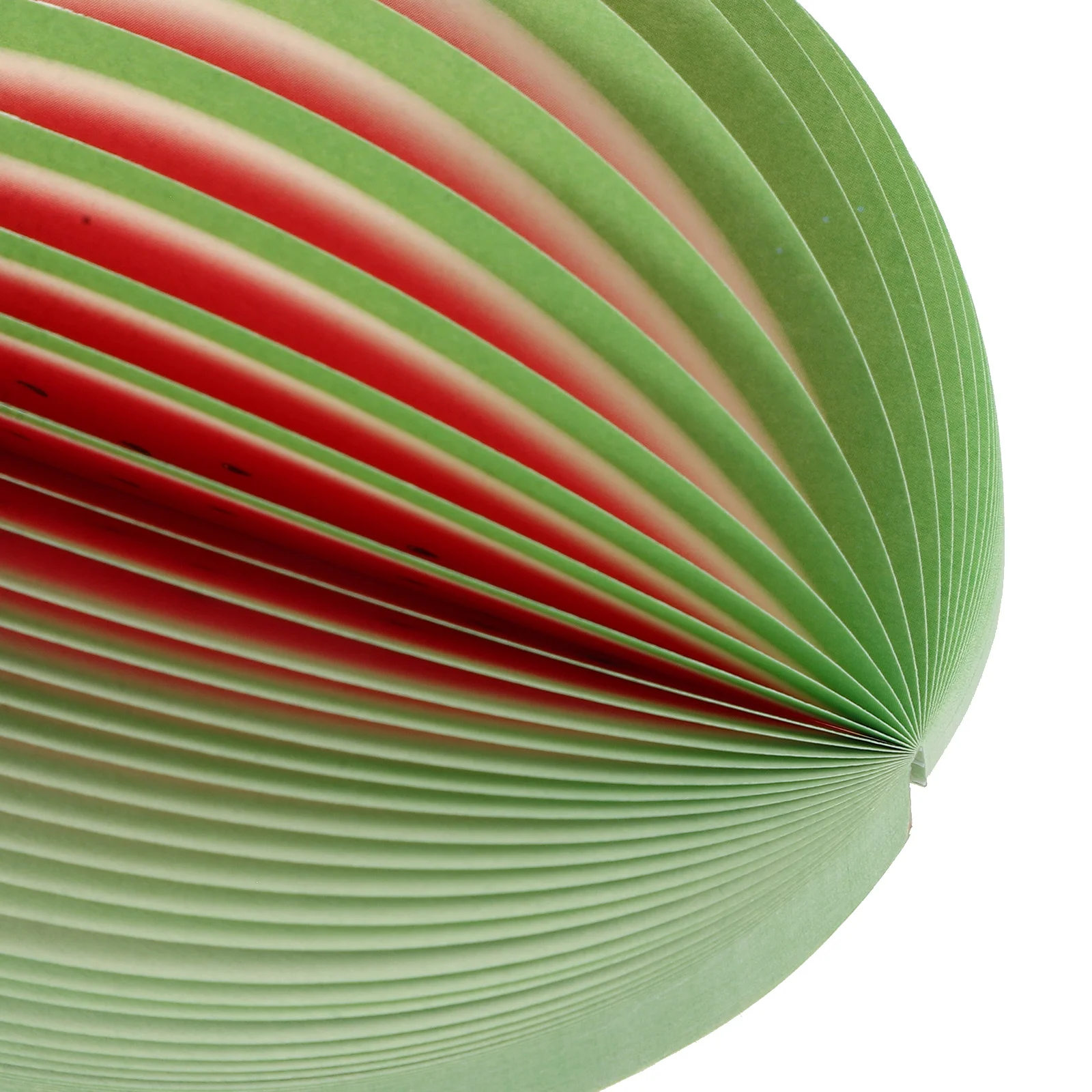 

5 Books Daily Planner Notepad Portable Planning Book Tear Schedule Organizer Academic Memo to Do List