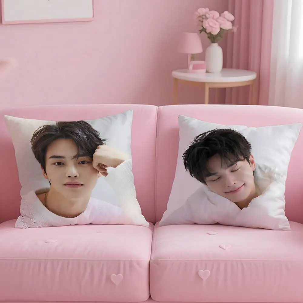 Kpop Actor Hot S-Song Kang Pillow Case Anti-dustmite Pillowcase Invisible zipper silky short plush Sofa cushion cover