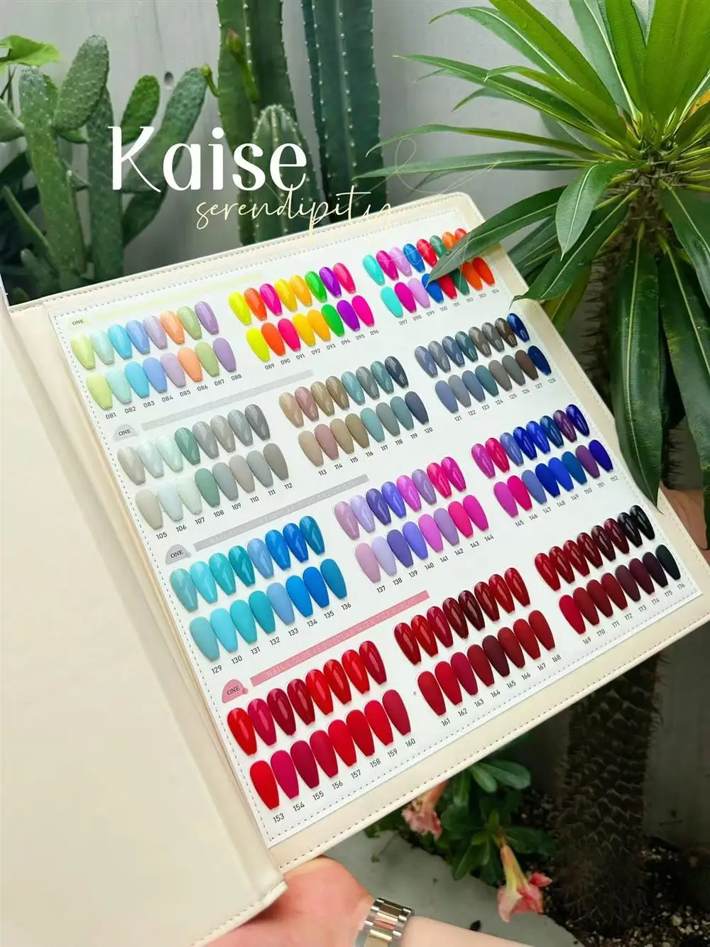 Agreise-Ensemble de gel à ongles multicolore dépareillé, 220 couleurs, nouveau modèle, kit d'art, salon de manucure, article chaud, gel non CUUv, 2024