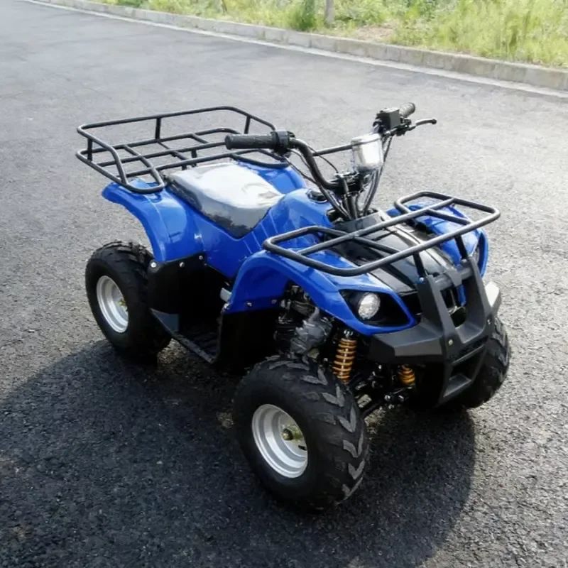New Hot Sale 125cc Quad Cross All-terrain Vehicle 4 Stroke Drier Farmer Motorcycle Off Road Bike