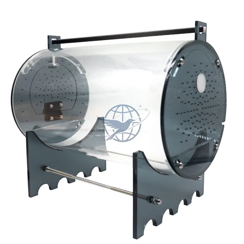 climbing pet feeding box, rainforest lizard, palace-guarding horned frog, hermit crab, spider, mantis, songworm feeding box.