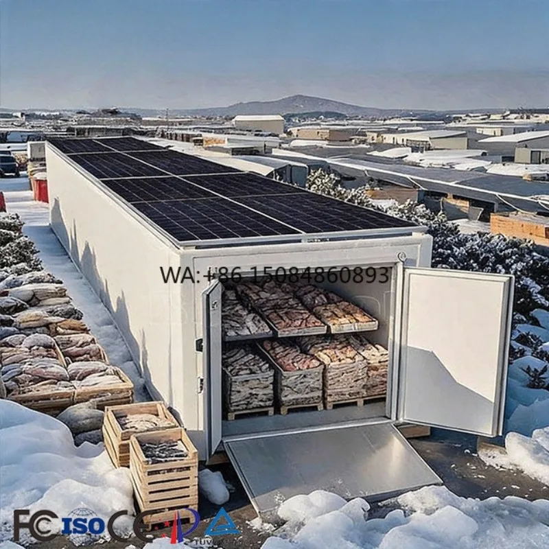Top Selling Solar Powered Container Cold Rooms Freezer Room Air-Cooled Frost-Free Fire Retardant Cold Storage for Meat Chilling