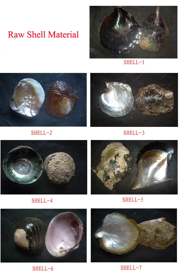 مقياس السمك الأبيض قذيفة فسيفساء بلاط أم اللؤلؤ المطبخ باكسبلاش الحمام دش جدار التلفزيون خلفية مروحة خلفية #4