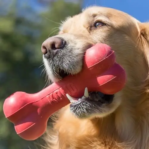 Klassieke duurzame hondenbot v - Rubber Treat Dispensing Dog Toy recensie en prijs