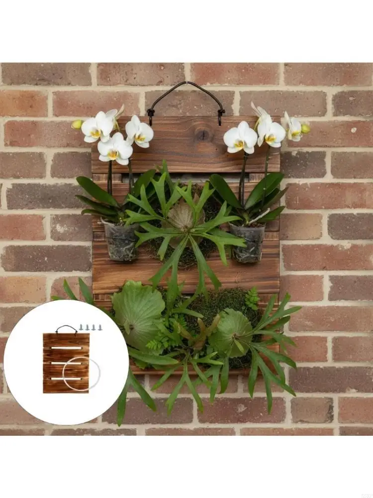 Wooden Staghorn Ferns Mounting Board with Natural Finish Easy to Hanging Planter for Indoor Greeneries Decoration Home