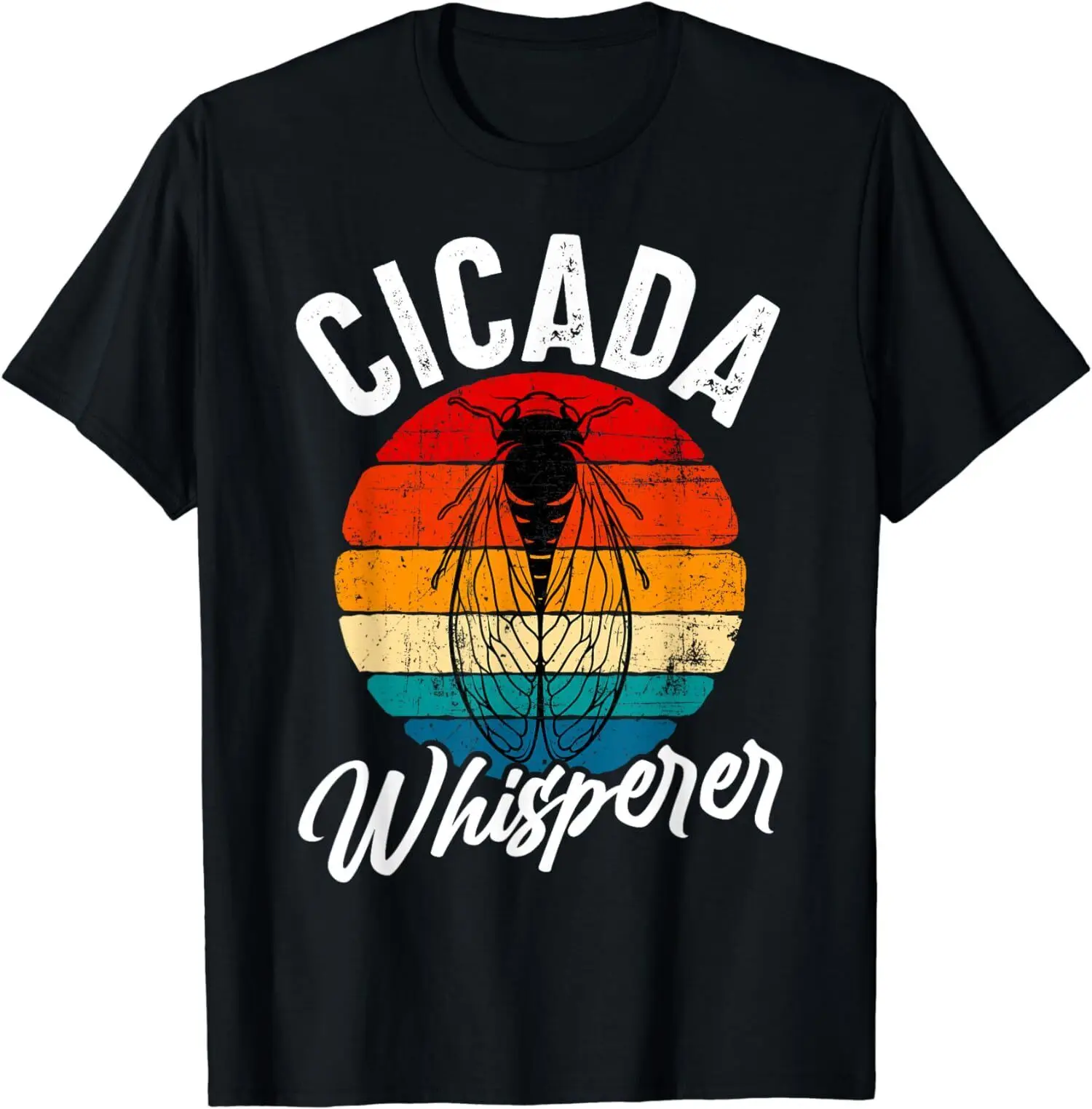 Cicada 2024 Broods Insect Funny T Shirt