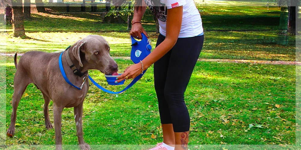 Multifunction Pet Dog Leash with Builtin Water Bottle Bowl Waste Bag Dispenser for Outdoor Walking Traction Rope Pet Accessories