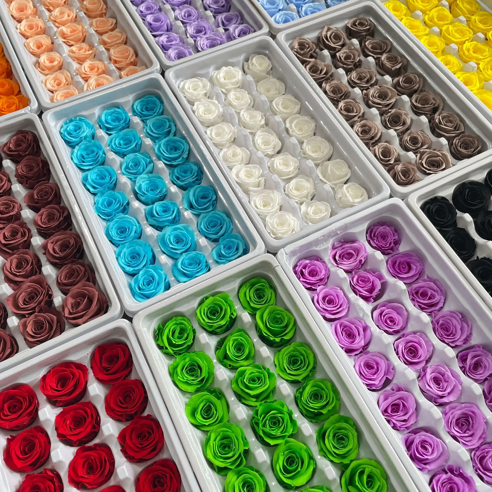 2-3cm/ A-grade Immortal Rose Preserved Flower Rose Head Handmade Flower DIY Material Gift Box Wedding Decoration Rose