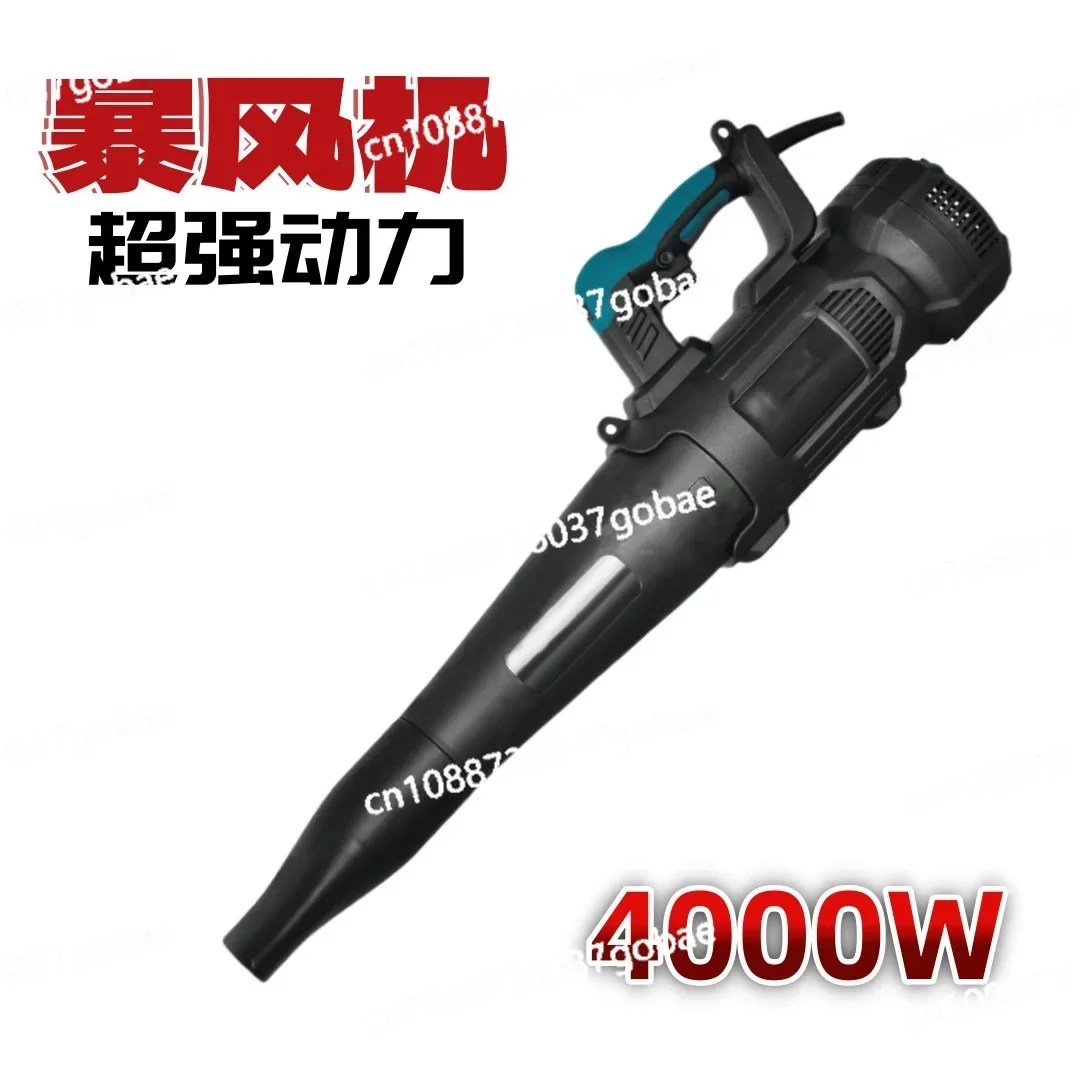 Cross-border Explosion of Ultra-high-power Blowers, Windmills, High-power Hair Dryers 110V/220V Hair Dryers, Industrial