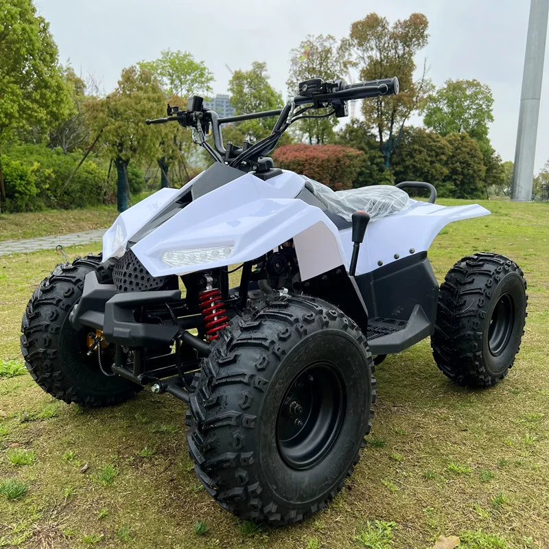 Four-stroke automatic chain transmission, two-wheel drive, four-wheel vehicle, all-terrain beach off-road vehicle, mountain bike
