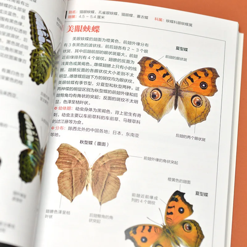 Butterfly Catalog, Illustrated Guide To 158 Butterflies and 60 Moths, Comprehensive Understanding of Their Growth Habits