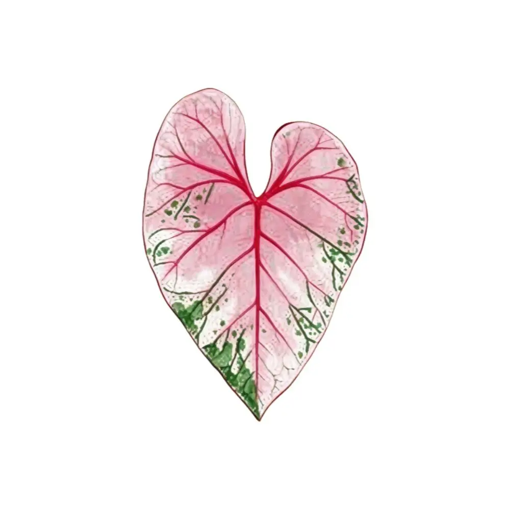 New Acrylic Green Leaf Coaster Irregular Shape Anti Slip Plant Leaf Cup Mat Easy to Clean Heat Insulation Cup Pad Desk Ornament view 5
