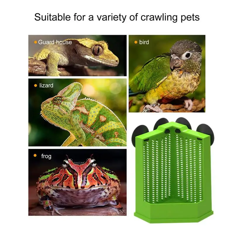 Gecko Food Bowl Reptile Feeding Bowls Reptile Dish Suction Cup Gecko Food Dish Reptile Bowl Terrarium Feeding Dish Anti-Escape