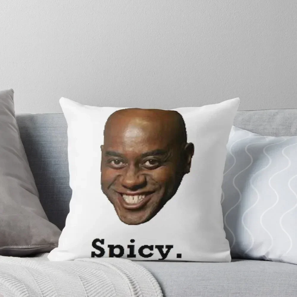 

Ainsley Harriott Spicy Throw Pillow Decorative Cushions Pillow Covers Decorative pillow