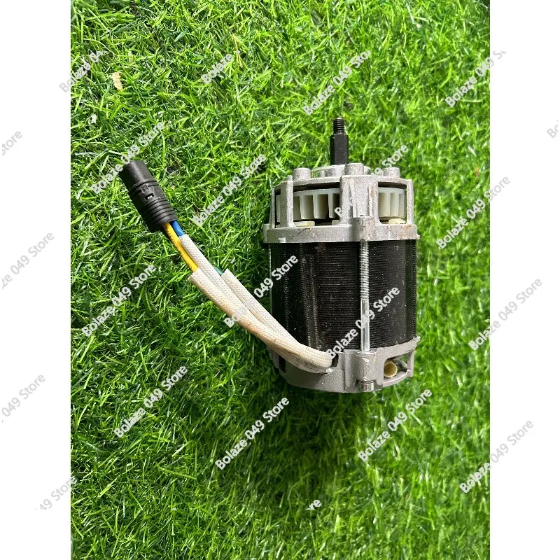 

Сильный магнитный бесщеточный двигатель 36 В