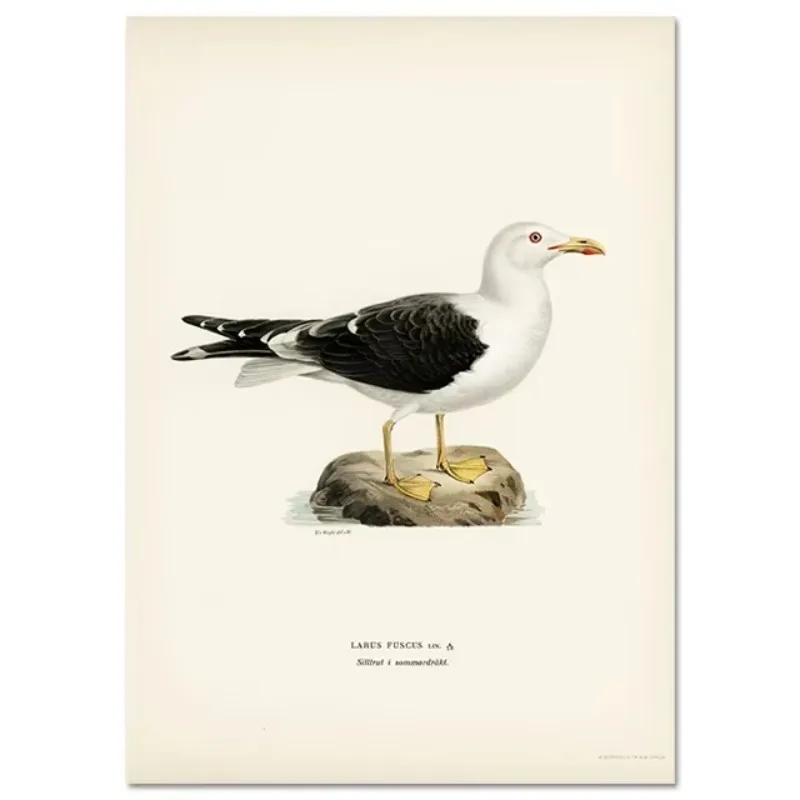 Retro Birds Poster and Print Vertebrate Canvas Painting Cormorant Bird Wall Picture Realism Art Mural Home Decor for Living R