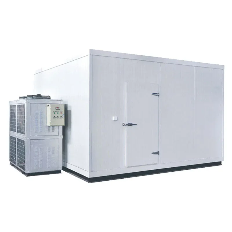 Custom Cold Storage Cold Room Cooling System Super Cold Store Freezer