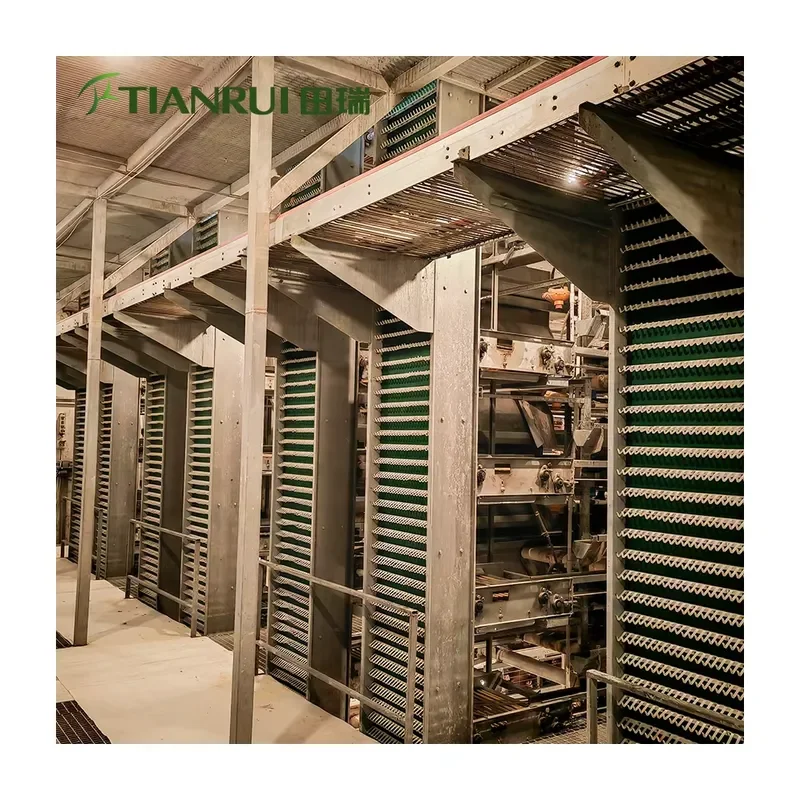 Fully Automatic Galvanized Steel H-Type Battery Cages for Egg-Laying Hens Farming Equipment 15-20 Year Lifespan for Tianrui