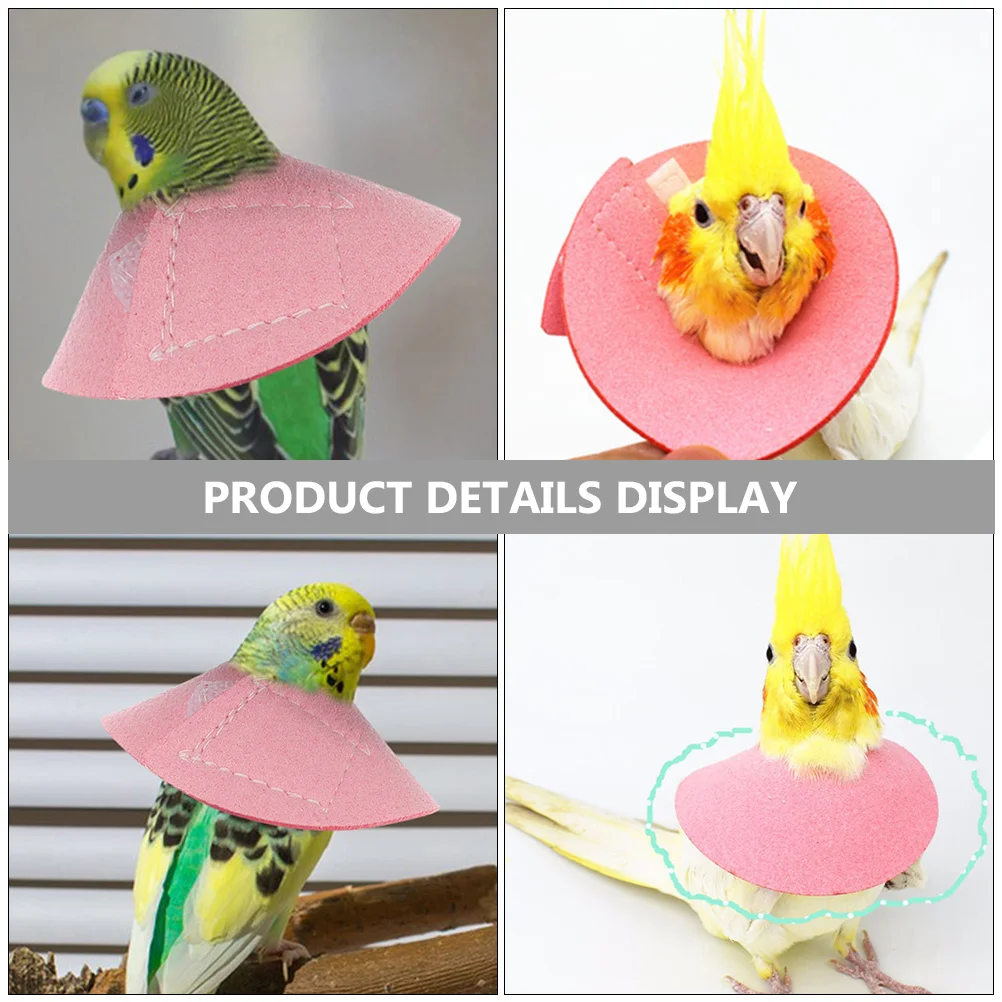 طوق مخروطي برقبة الطيور لدجاج الببغاء، حماية ضد التفتيت بعد الجراحة، شفاء مريح يسمح #4