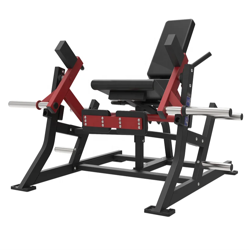 Factory Direct Selling Gym Custom Sitting Double Leg Extension Machine Dual Legs for Commercial Use
