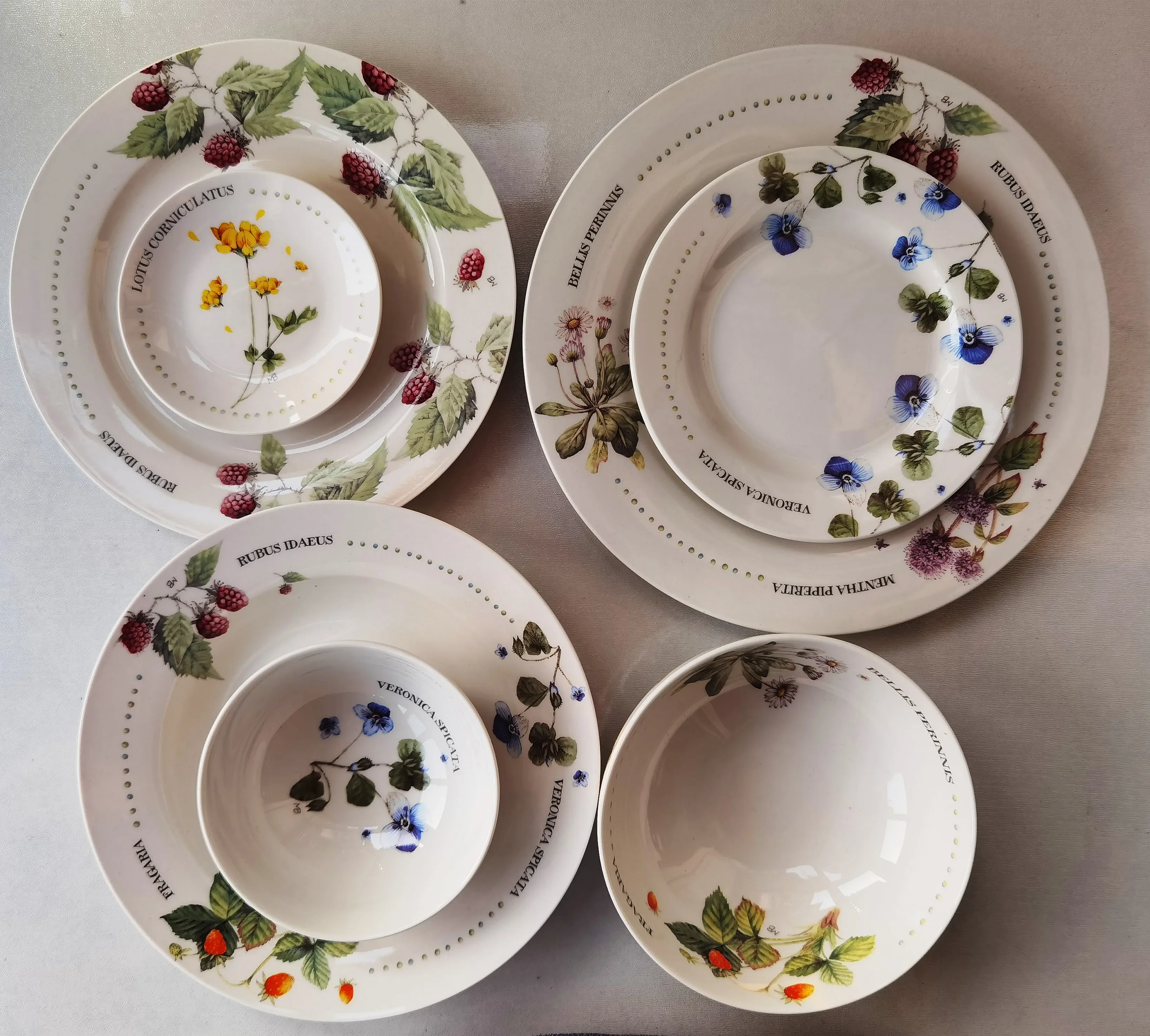 Foreign Trade Original Order Authentic Countryside Style Flower Wild Strawberry Steak Plate Cold Meal Plate Size Bowl Soup Plate