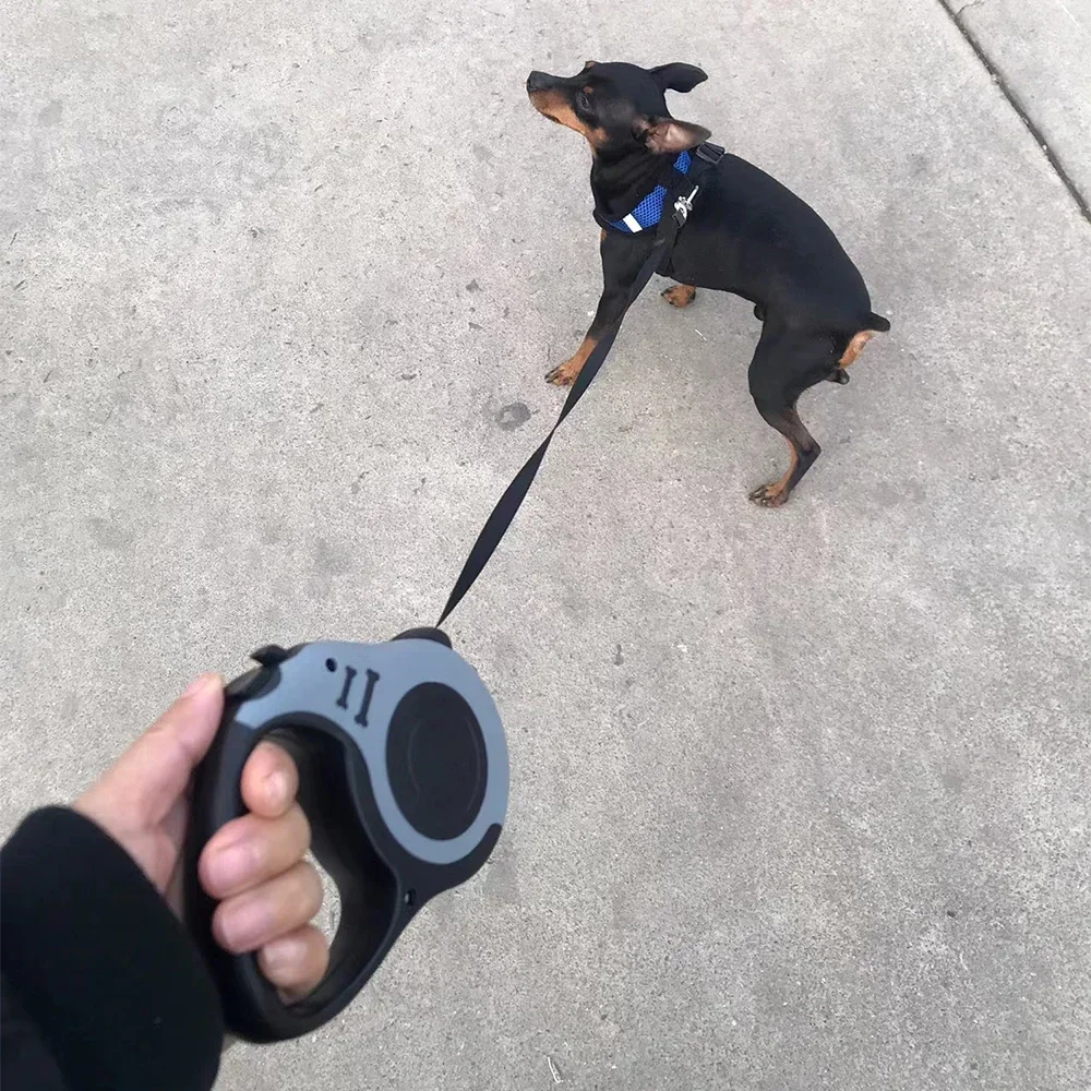 3m/5m Automatische Hundeleine für kleine Hunde und Katzen, ausziehbare Nylon-Führleine für Outdoor-Training, Welpen- und Yorkie-Zubehör – Detail 15