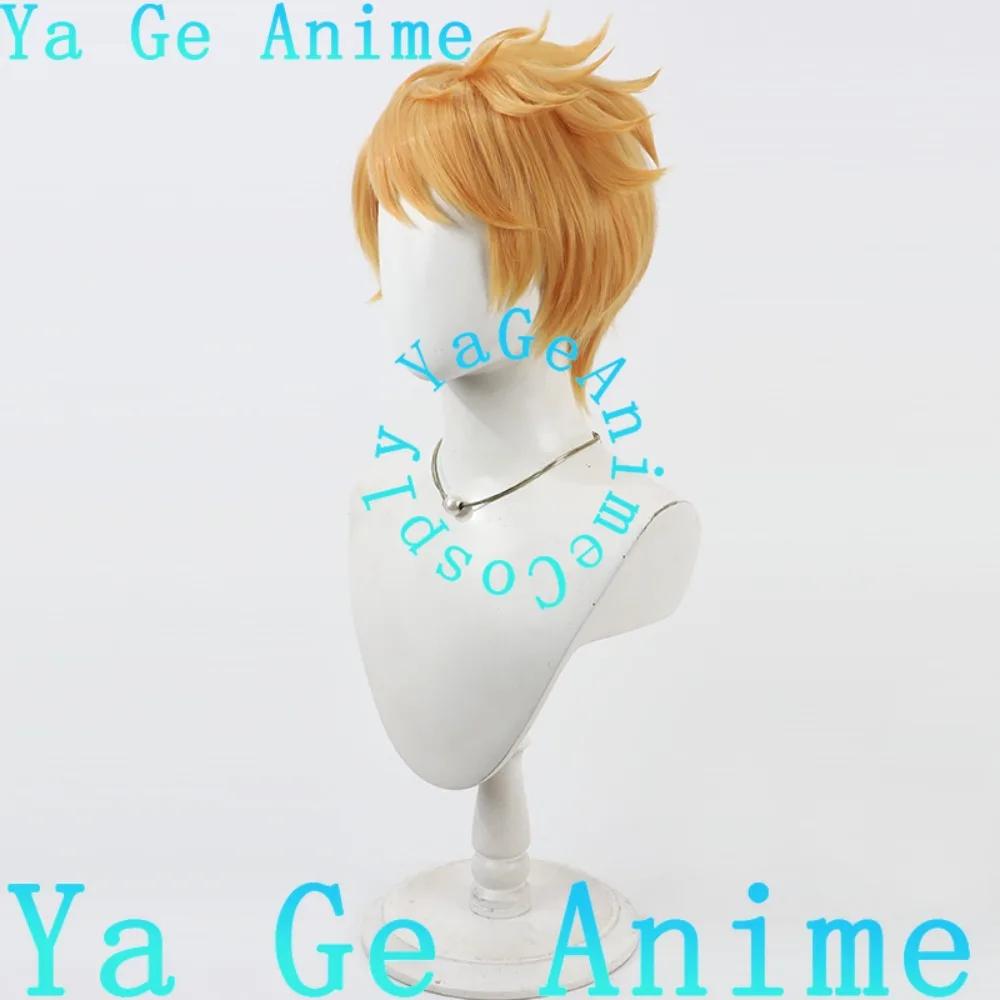 

Ya Ge Anime Granblue Fantasy Gran Cosplay Wig Anime Reality Show Game Role-playing Wig Used for Anime Dance Parties