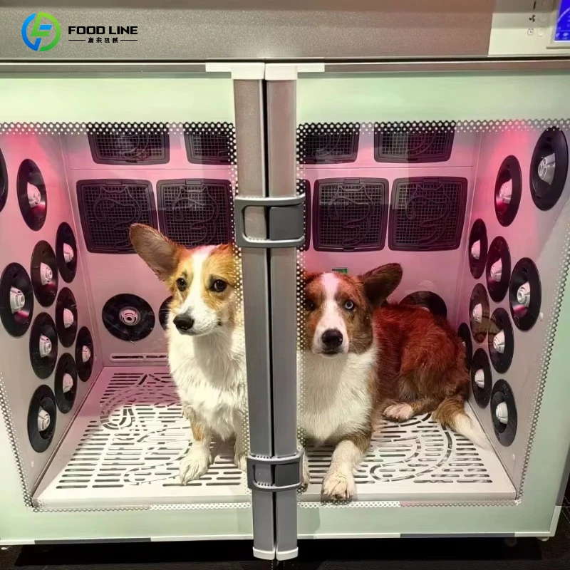 Multi-scenario Animal Hospital /Pet Grooming Salon Drying Chamber Machine Automatic Pet Dryer Box Pet Drying Cabinet Customized