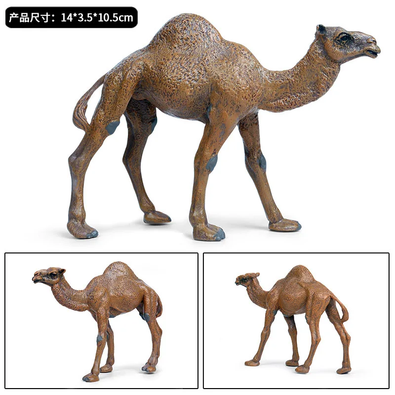 Simulated animal plastic model pendulum camel solid static model big single humped camel children\'s animal toy