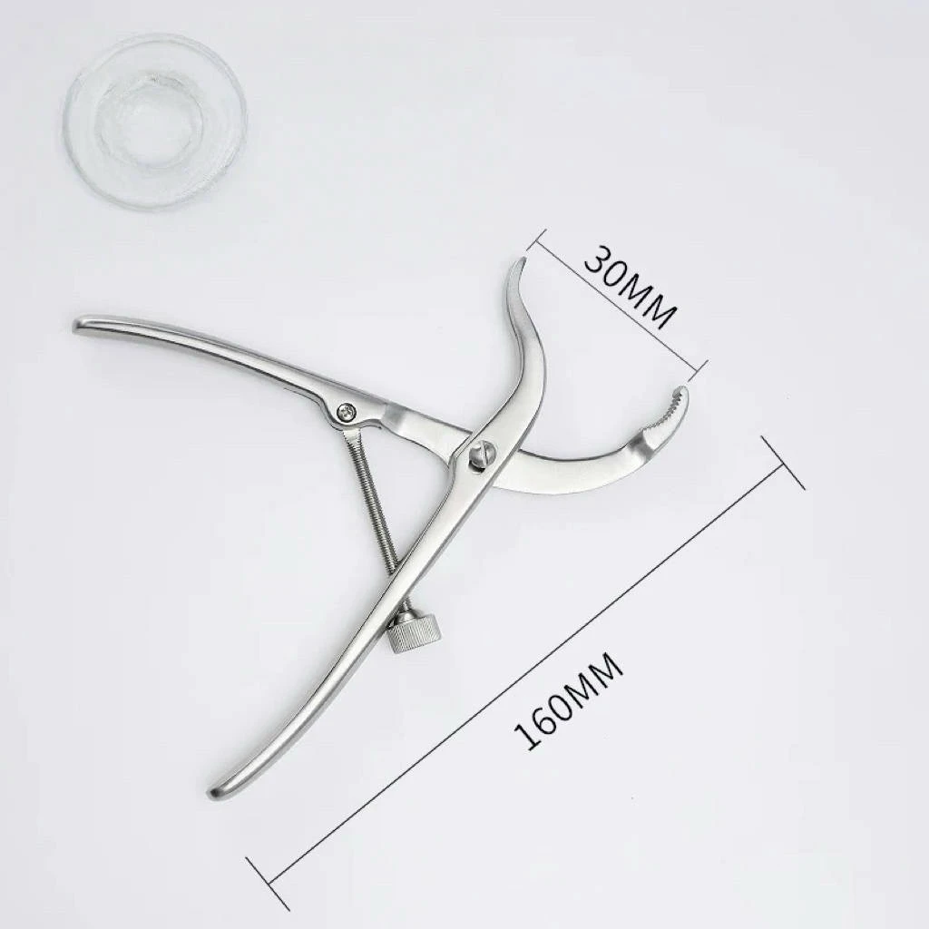 Orthopedics Instruments Teeth in The Head Fora More Secure Grip Centering Bone Holding Forceps Surgical Instrument Pet