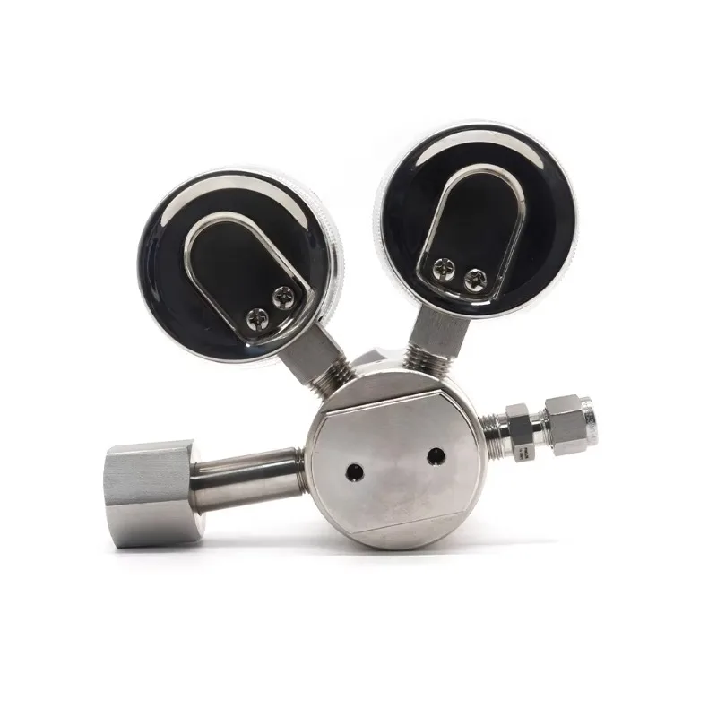 Stainless Steel 316L Silver Gas Regulator Single Stage Laboratory Pressure for Corrosive  Laboratory
