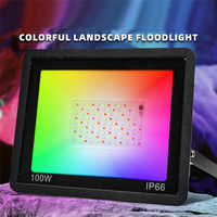 BMBY-Outdoor Waterproof RGB LED Floodlight AC200-265V IP66 Spotlight For Landscape Lighting, For Garden, Patio, Yard 100W