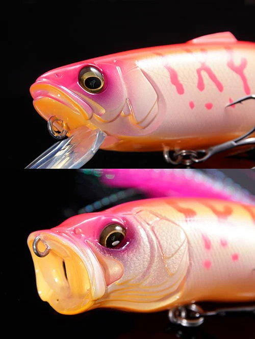 2024.5 NEW SAKURA COACH JAPAN Megabass Limited COLOR RESPECT 64