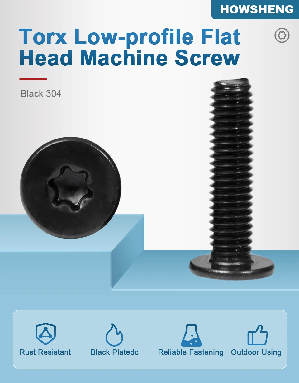 HOWSHENG 10-50 Stück/Beutel Torx Ultraflache Flachkopf-Maschinenschrauben 304 Schwarzer Edelstahl M2 M2.5 M3 M4 M5 M6 Sternschrauben – Detail 1