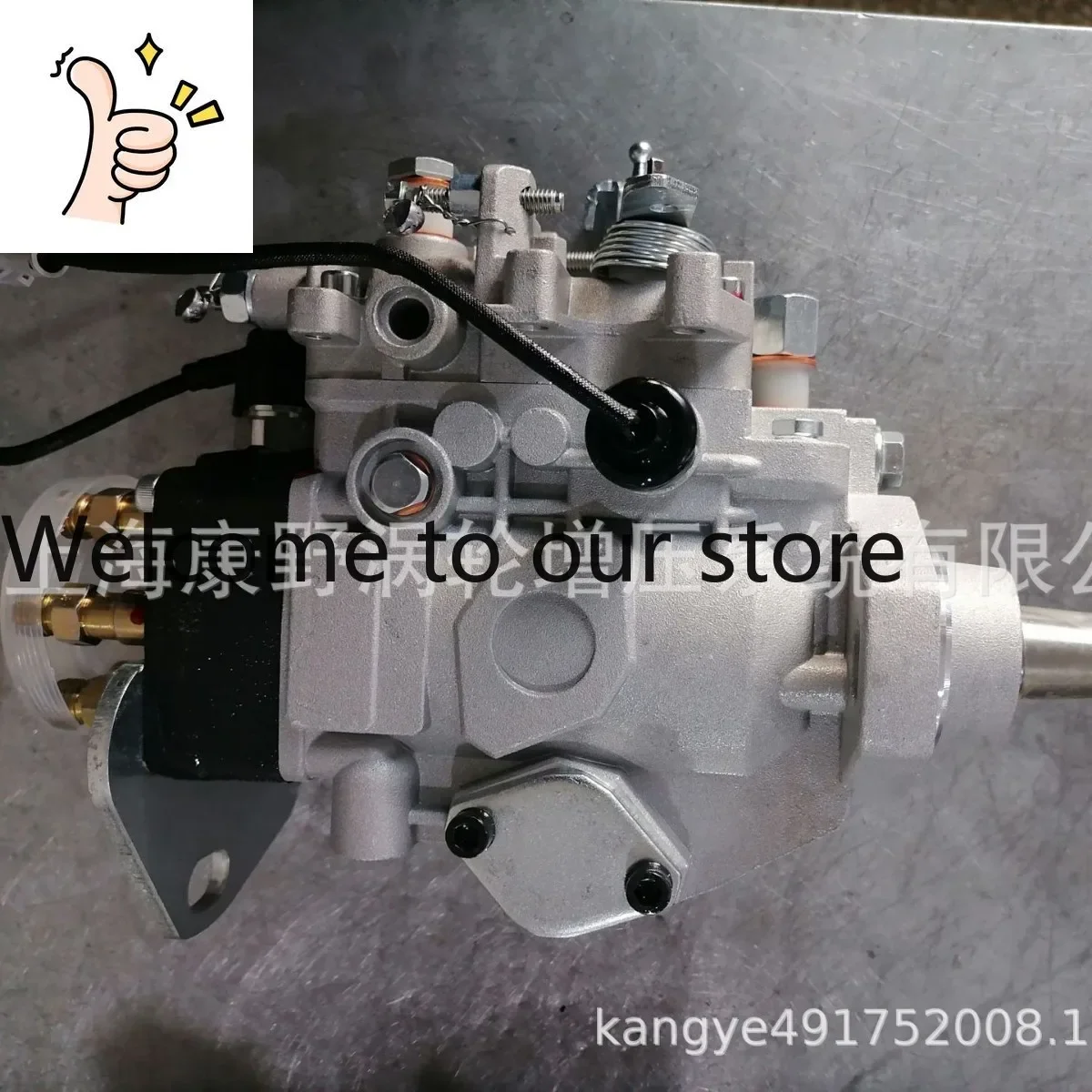 Domestic Fuel Injection Pump 104641-8132 32A65-20410 And 104641-8171 32A65-00830