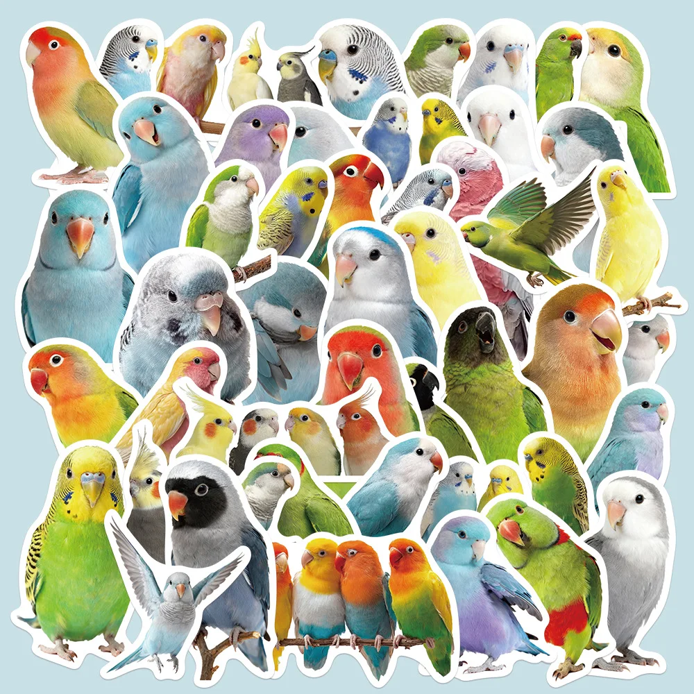 

50PCS Cute Parrot Stickers Colorful Bird Cute Pet Graffiti DIY Decoration Handbook Notebook iPad Waterproof Stickers Kids Toy