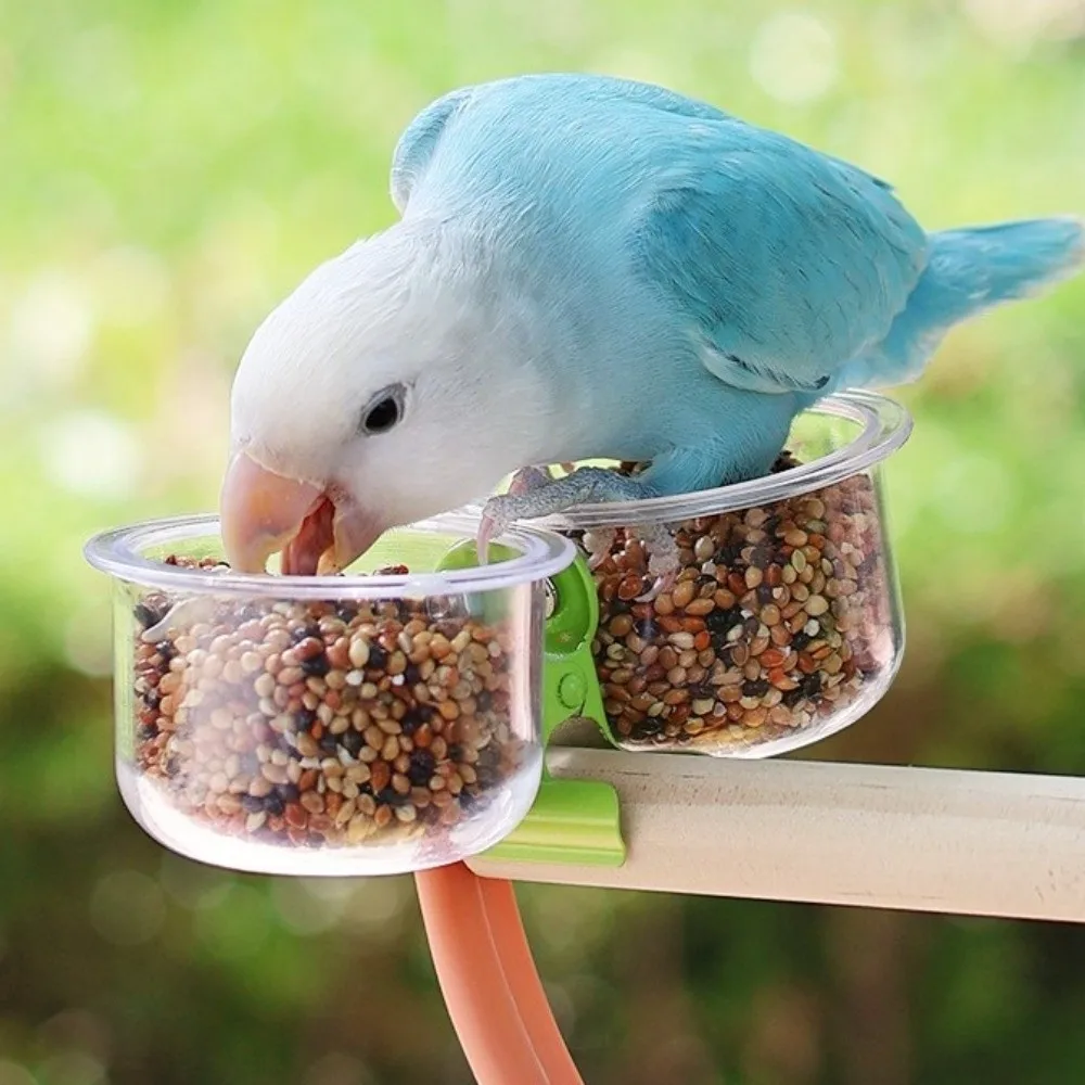 

Fixed Transparent Bird Cage Feeder Wear-resistant Non-slip Feeder Cup Feeding Basin With Clip Parrot Food Bowl Parrot