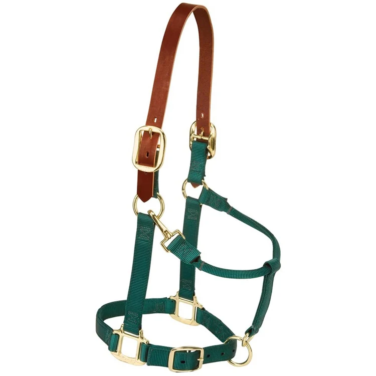 High Quality Fashion Colorful Durable Horse Halter with Brass or Stainless Steel Hardware Modern Design for Riders