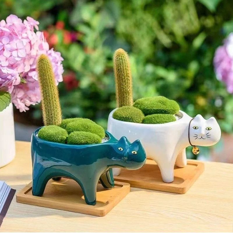 Ceramic Succulent Plant Flower Pot, White and Green Cat Tail, Cartoon Animal, Monkey Tail, Column Cactus